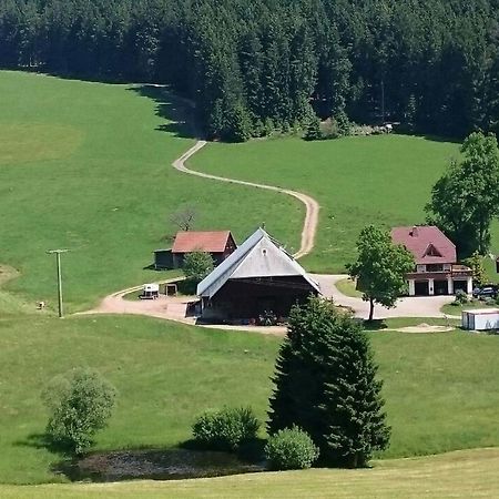 Apartmán Oberengenbachhof Eisenbach  Exteriér fotografie